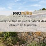 Cómo elegir el tipo de piedra natural ideal para el muro de tu parcela